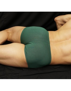 Boxer for men made in Green Viscose Is so Bulgetastic is your basket