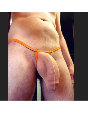 Tul muy suave extra transparente con elasticos con lycra x.com: @trophybulge9in