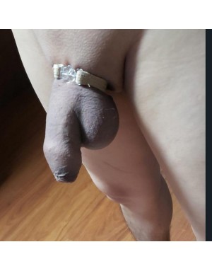 Cock Ring ( Lycra transparent snap )